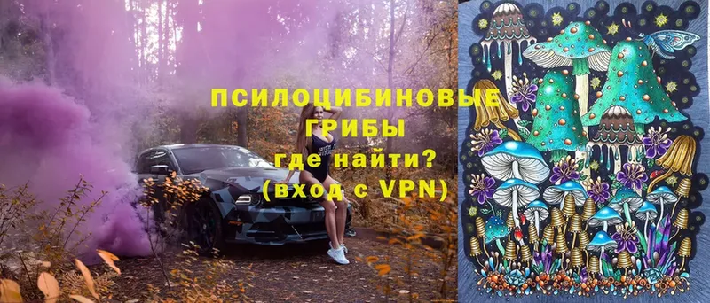 Галлюциногенные грибы MAGIC MUSHROOMS  hydra ссылка  Урень 